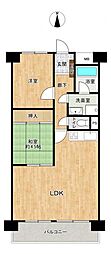 エバーグリーン八島1号棟 2LDKの間取図画像