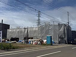 パンプキンA 202