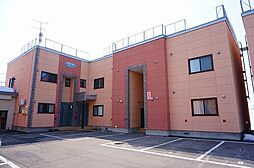 ブルーソールD 201