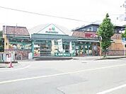 マルエツひばりが丘店 1144m