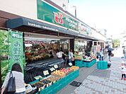 スーパー文化堂仲町台店 739m