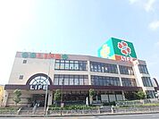 ライフ鶴見店 1055m