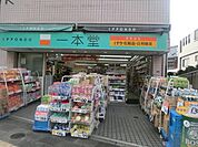 ドラッグストア一本堂池袋店 615m
