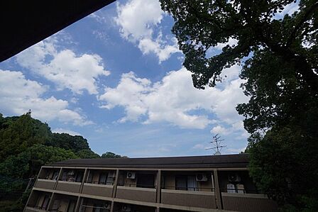 バルコニーからの眺望です。緑豊かな景色を楽しむことが出来ます。日当たりも良好。お洗濯物が良く乾きます。