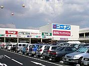 ホームセンターコーナン南十番町店（1185m）