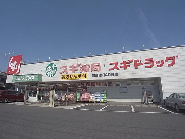 画像17:スギ薬局 草薙店（1244m）