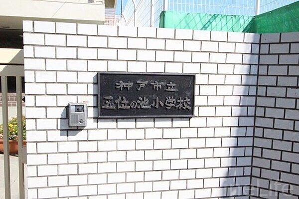 画像28:神戸市立五位の池小学校 179m