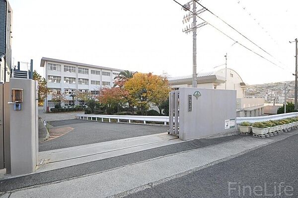 画像29:神戸市立福田小学校 567m