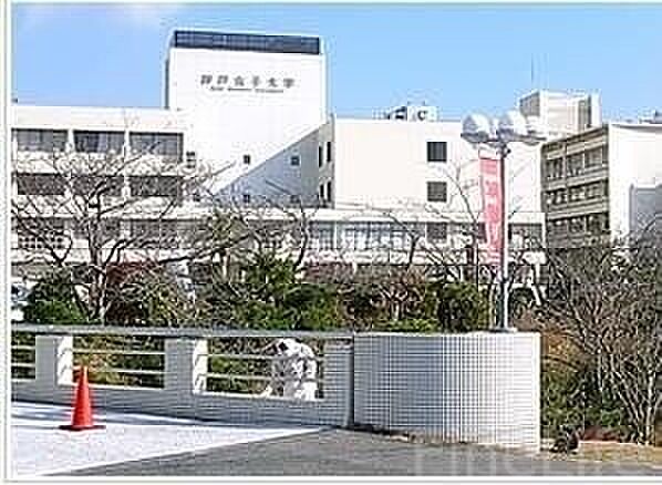 画像27:神戸女子大学 3770m