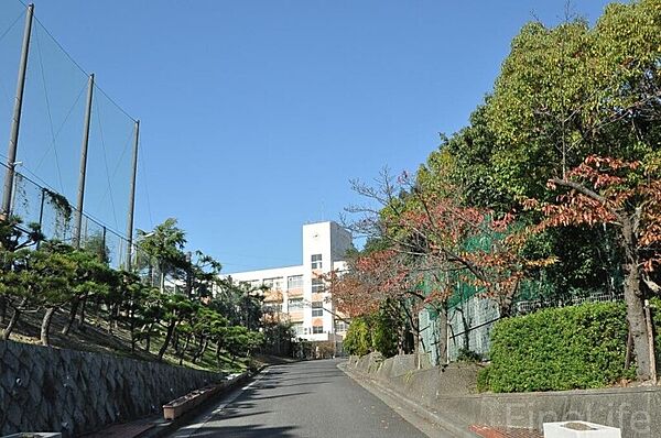 画像30:神戸市立横尾中学校 782m