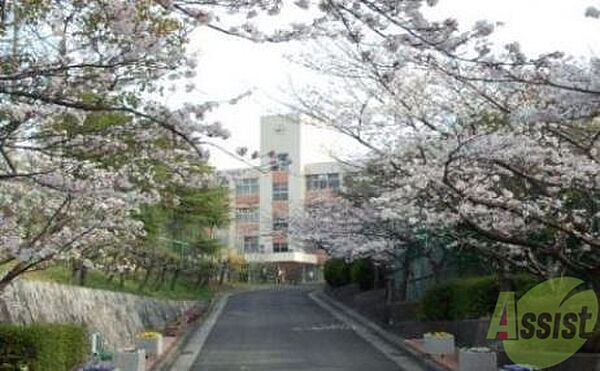 画像20:神戸市立横尾中学校 374m