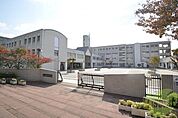 神戸市立星陵台中学校 558m