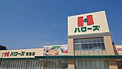ハローズ野里店