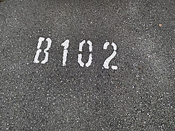 5 / 11
