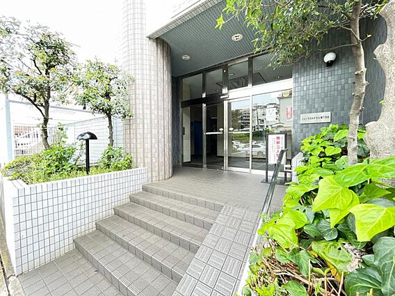 緑に囲まれたエ...