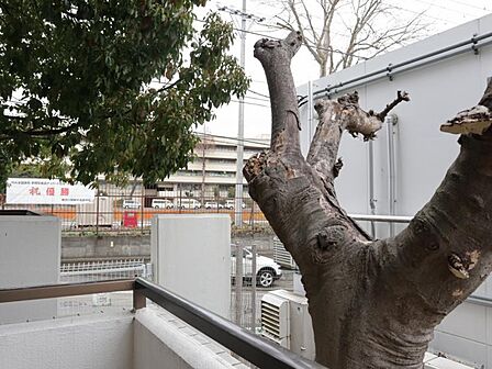角部屋　二面以上から陽光がふりそそぎ、明るい角住戸。開口部が多いため風も吹抜けます。さらに隣接する住戸は片側のみのため、プライバシー性にも優れます。