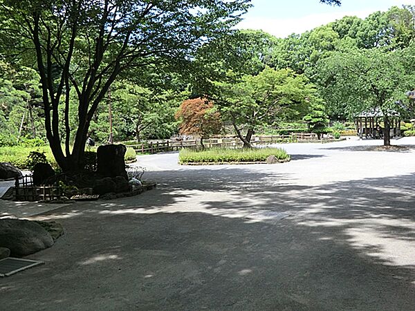 周辺を拡大表示