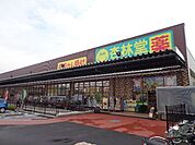 杏林堂薬局新津店 979m