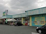 杏林堂薬局上島駅前店 603m