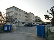 浜松市立有玉小学校 525m