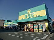 杏林堂薬局上西店 673m