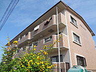 静岡県浜松市中央区上島4丁目：物件画像／株式会社MJC　不動産本舗西店