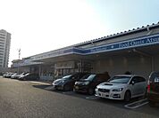 ビオ・あつみエピスリー浜松 613m