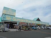 杏林堂薬局芳川店 1307m