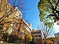 江戸川区役所ま...