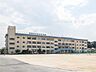 周辺：市川市立下貝塚中学校 781m
