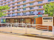 江東区立ひばり幼稚園まで約645m