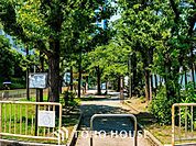 豊洲四丁目公園まで約280m。