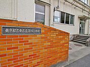 江東区立深川小学校 区立深川小学校 300m