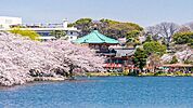 徒歩25分。上野公園 1930m