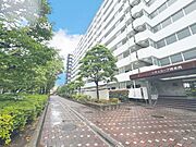 「〜 シティコープ西葛西〜」1階南西向きで陽当たりに恵まれた室内は、2026年3月に新規内装リフォーム済み。新生活にぴったりな住戸です。