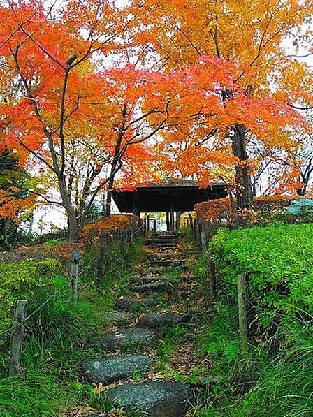 荒川公園 1000m