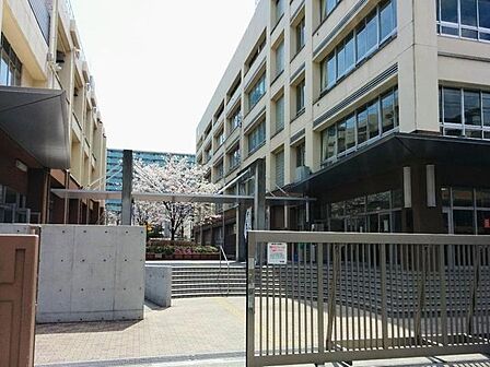 江東区立深川第三中学校 徒歩6分。深川第三中学校 410m