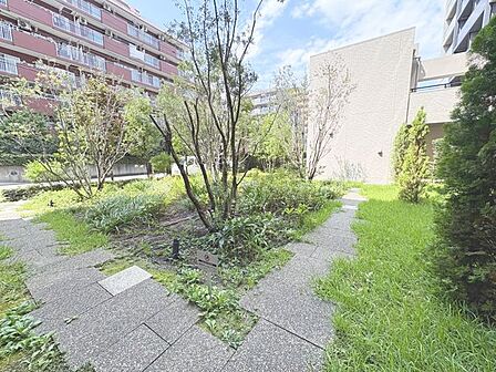 「敷地内 中庭」