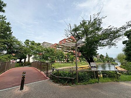 横十間川親水公園 490m