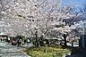 周辺：桜川公園 570m