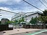 周辺：江戸川区立新堀小学校 190m