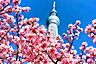 周辺：スカイツリー 2700m
