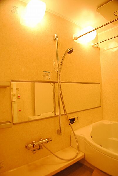 画像9:ディーグラフォート大阪NYタワー肥後橋　浴室