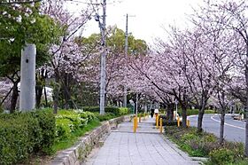 コンフォリア・リヴ京橋  ｜ 大阪府大阪市都島区東野田町4丁目（賃貸マンション1LDK・2階・30.79㎡） その10