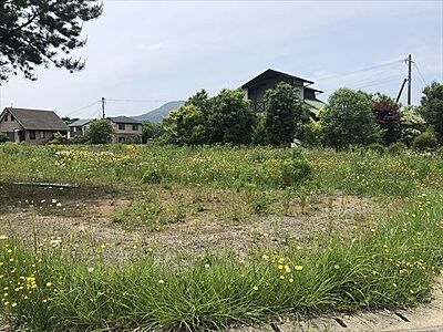 外観:7-4号地現地外観 外観:7-4号地現地外観