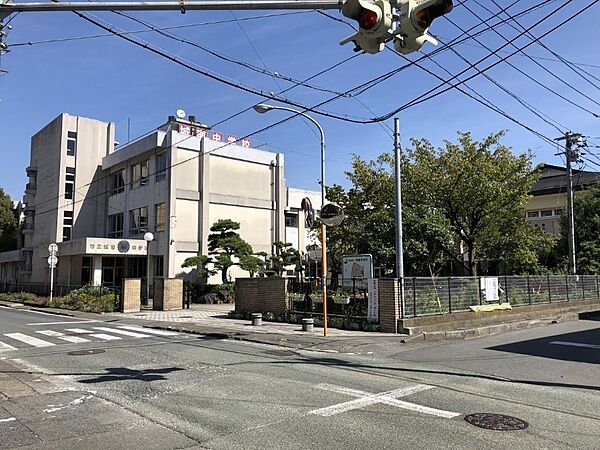 周辺を拡大表示