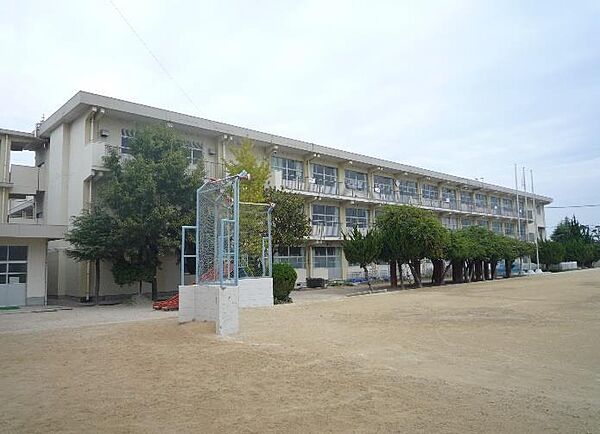 画像15:曽根小学校(900m)