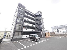 フェルト1215