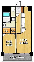 メディアパークII 5階/-