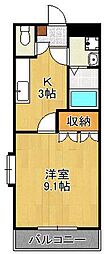 グレースコートII 2階/-